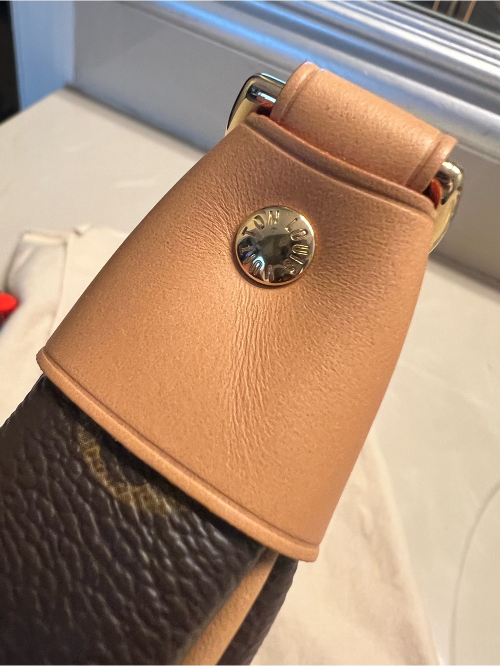 Louis Vuitton Loop bag with chain and adjustable leather strap - Picture 14 of 16